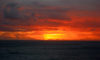 sunset cruise san diego